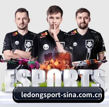 乐动体育 APP | LD SPORTS